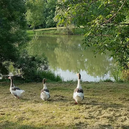 Le Grand Castillon - Avec Piscine, Peche Avec 2 Etangs Prives, Foret Et Jacuzzi En Option *