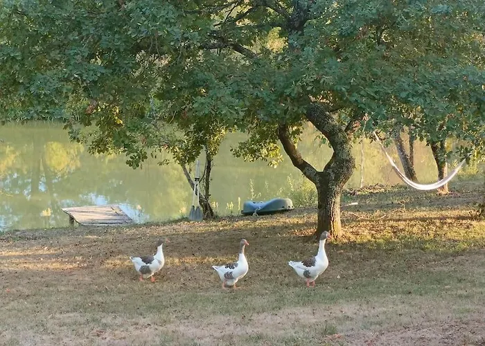 Le Grand Castillon - Peche Avec 2 Etangs Prives, Foret Et Jacuzzi En Option Castelnau-dʼAuzan