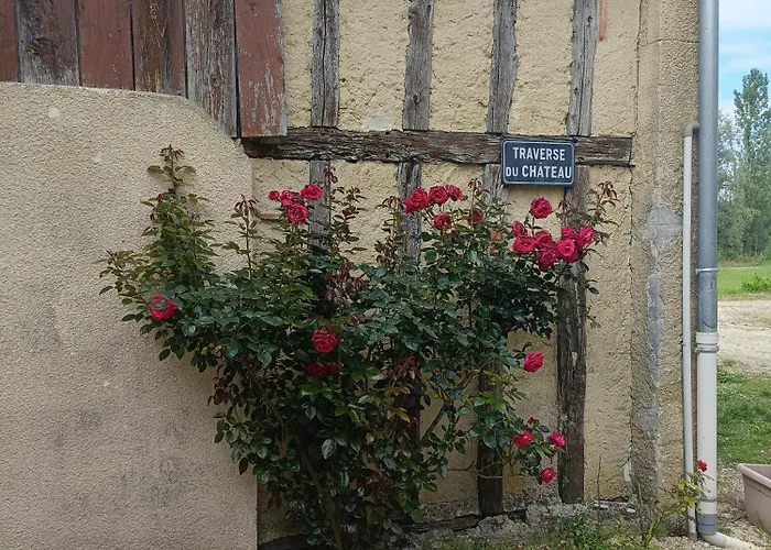 Le Grand Castillon - Peche Avec 2 Etangs Prives, Foret Et Jacuzzi En Option *