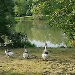 Le Grand Castillon - Gite Avec Piscine, Peche Avec 2 Etangs Prives, Foret Et Jacuzzi En Option *