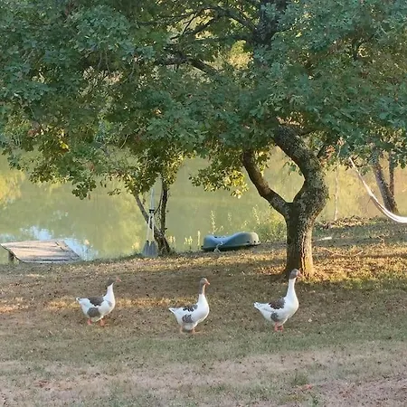 Le Grand Castillon - Peche Avec 2 Etangs Prives, Foret Et Jacuzzi En Option Castelnau-dʼAuzan