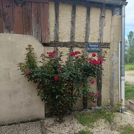 Le Grand Castillon - Avec Piscine, Peche Avec 2 Etangs Prives, Foret Et Jacuzzi En Option *