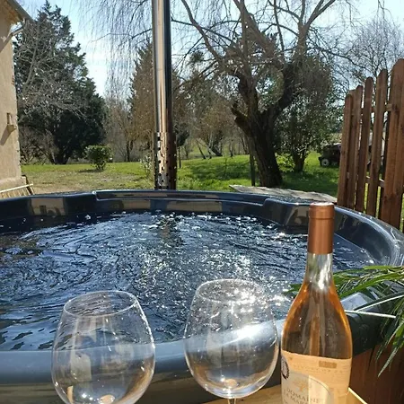 Le Grand Castillon - Avec Piscine, Peche Avec 2 Etangs Prives, Foret Et Jacuzzi En Option Castelnau-dʼAuzan