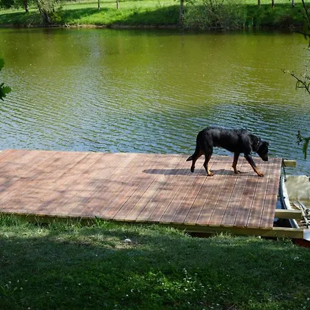 Le Grand Castillon - Avec Piscine, Peche Avec 2 Etangs Prives, Foret Et Jacuzzi En Option * Castelnau-dʼAuzan