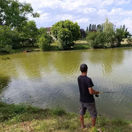 Le Grand Castillon - Avec Piscine, Peche Avec 2 Etangs Prives, Foret Et Jacuzzi En Option Castelnau-dʼAuzan