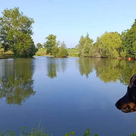 Le Grand Castillon - Avec Piscine, Peche Avec 2 Etangs Prives, Foret Et Jacuzzi En Option *