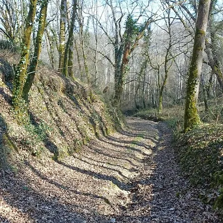 Le Grand Castillon - Avec Piscine, Peche Avec 2 Etangs Prives, Foret Et Jacuzzi En Option Prázdninový dům Castelnau-dʼAuzan