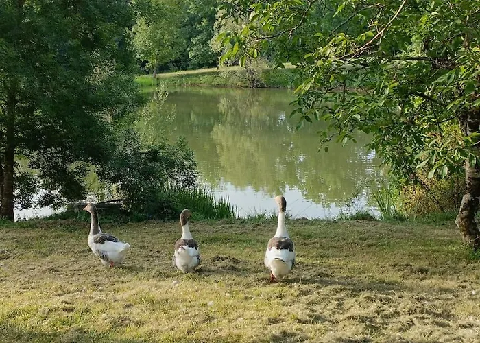 Le Grand Castillon - Pêche Avec 2 étangs Privés, Foret Et Jacuzzi En Option *